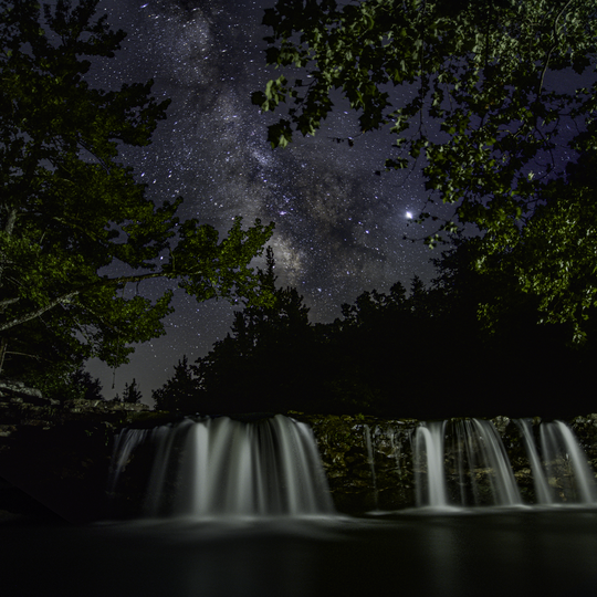 Ozark-St. Francis National Forests 