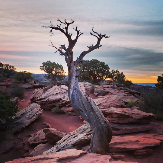 Colorado National Monument