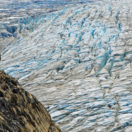 Kenai Fjords National Park