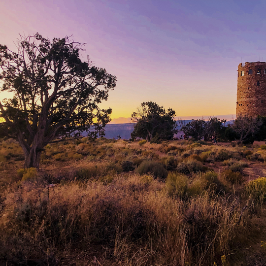 Grand Canyon National Park