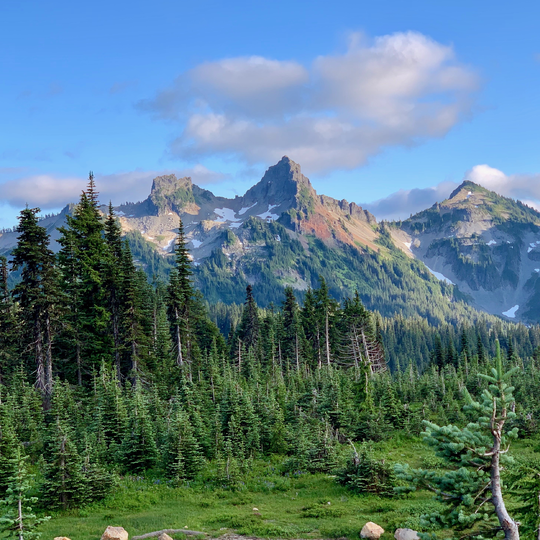 Mount Rainier National Park 