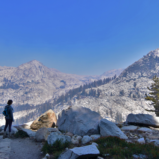 Sequoia & Kings Canyon National Parks