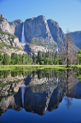 Share the Experience | Yosemite National Park