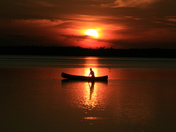 Elk Island Summer Nights