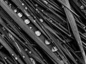 Droplets - 