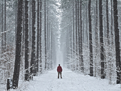 hiawatha park, sault ste. marie, ontario - 