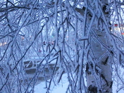 Early Hours Hoare Frost, and End of the day - 