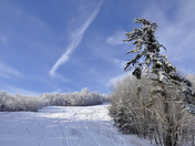 Winter Wonderland for TWN - 