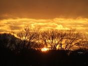 shades of orange  - 