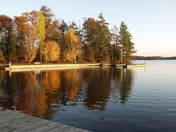 Autumn Beauty - 