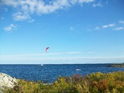 Elemental Glider - 