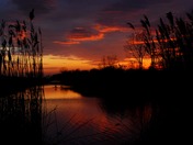 Flying Off Into the Sunset - 