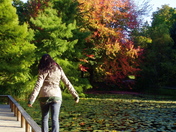 Walking On Rail - 