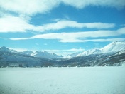 Snowy View - 