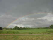 Under the Rainbow - 