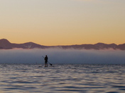 Fog at Dusk - 