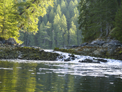 Morning Light - 