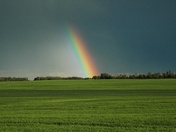 Rainbow after the storm - 