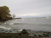 The day after Super Storm Sandy  - 