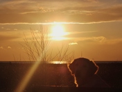 Ray Of Sunset - 