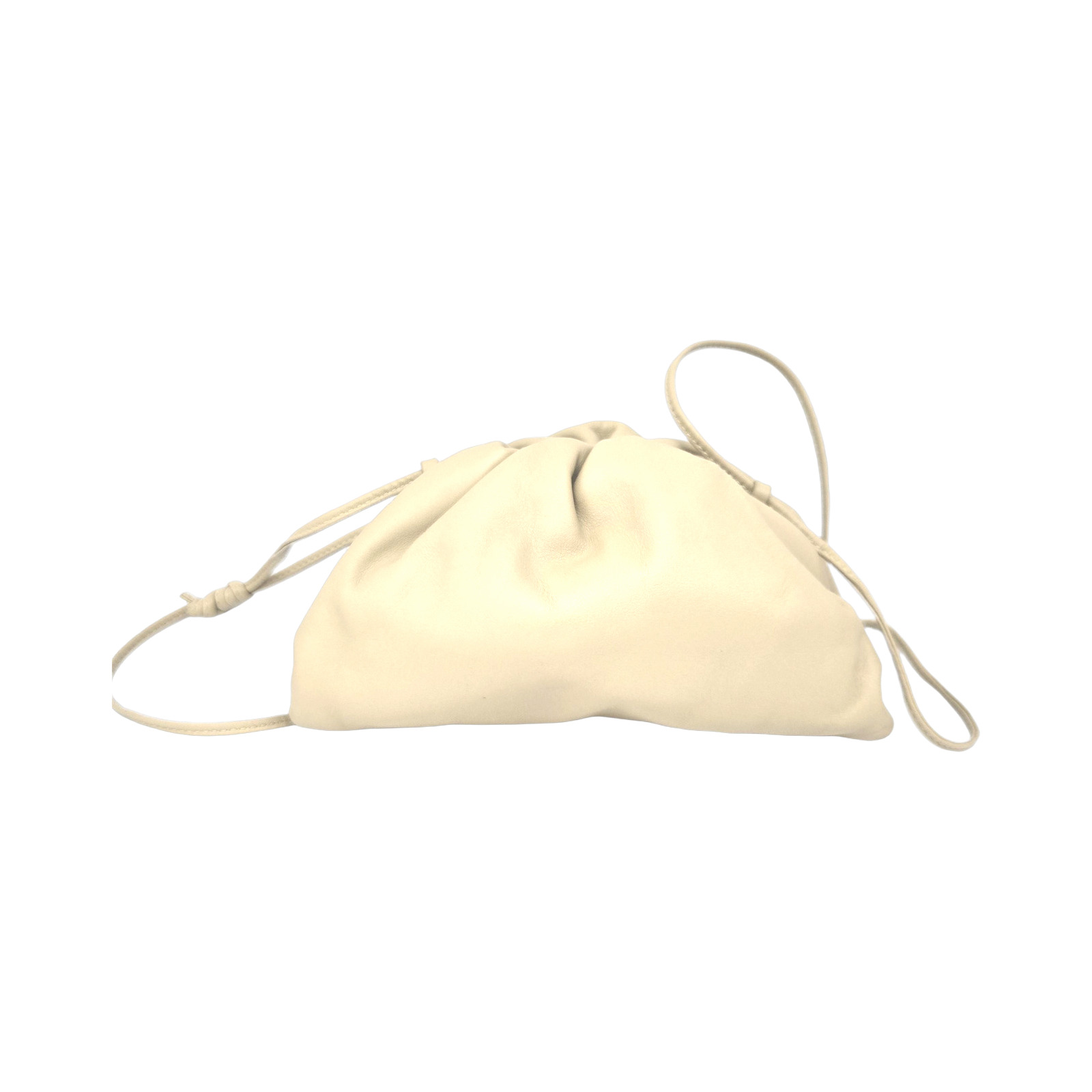 Bottega Veneta The Pouch Handbag In Neutral Color