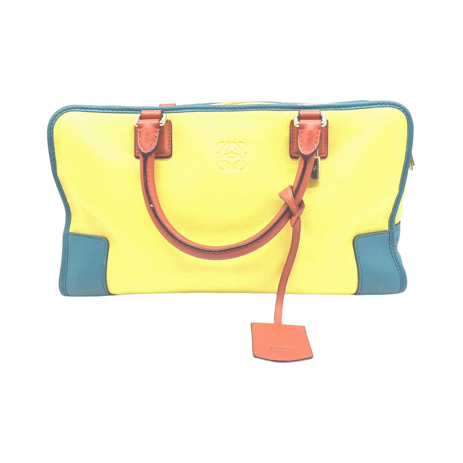 Loewe Tricolor Leather Amazona Handbag