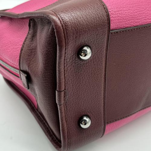 Loewe Amazona Handbag In Pink Leather photo 8