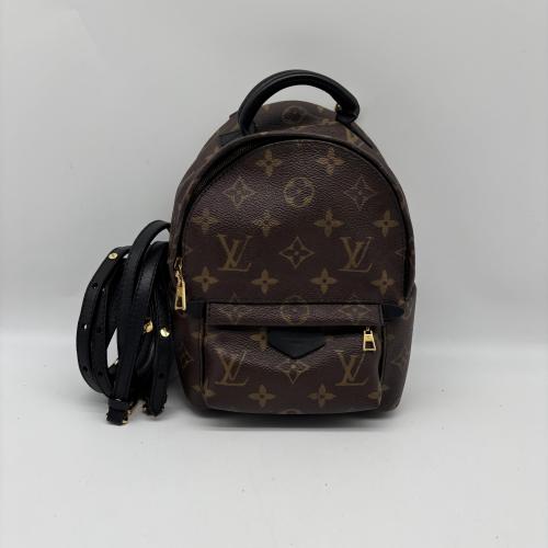 Louis Vuitton Monogram Canvas Mini Palm Springs Backpack