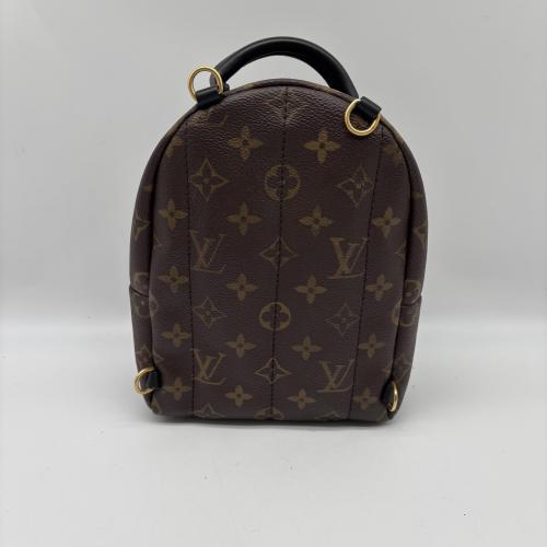 Louis Vuitton Monogram Canvas Mini Palm Springs Backpack photo 2