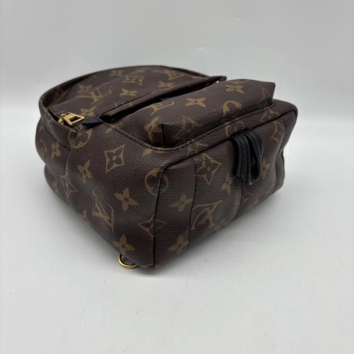 Louis Vuitton Monogram Canvas Mini Palm Springs Backpack photo 3