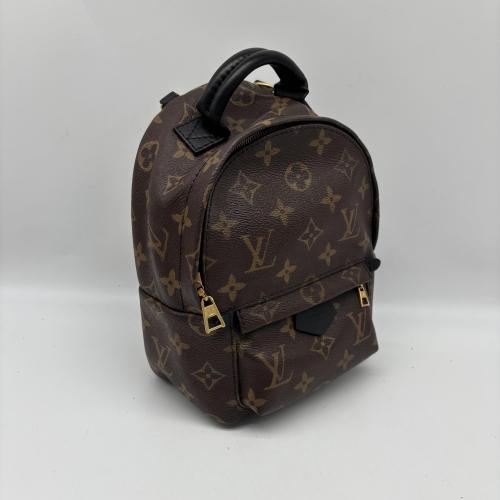 Louis Vuitton Monogram Canvas Mini Palm Springs Backpack photo 5