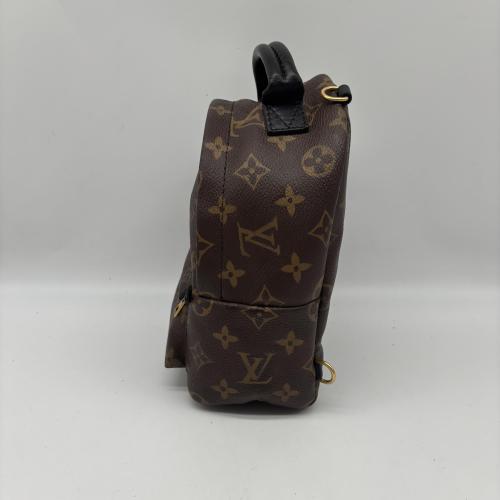 Louis Vuitton Monogram Canvas Mini Palm Springs Backpack photo 7