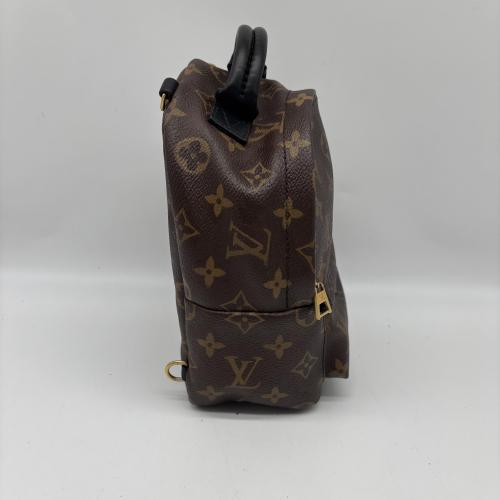 Louis Vuitton Monogram Canvas Mini Palm Springs Backpack photo 8