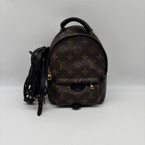 Louis Vuitton Monogram Mini Palm Springs Backpack