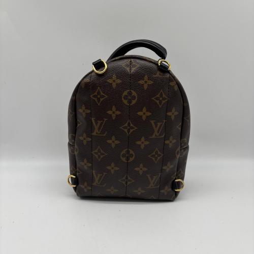 Louis Vuitton Monogram Mini Palm Springs Backpack photo 2