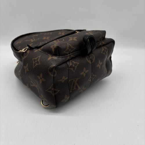 Louis Vuitton Monogram Mini Palm Springs Backpack photo 3