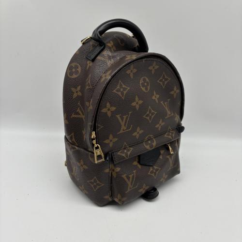 Louis Vuitton Monogram Mini Palm Springs Backpack photo 5