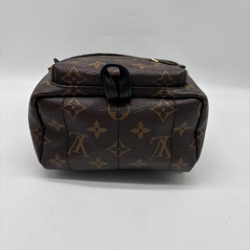 Louis Vuitton Monogram Mini Palm Springs Backpack photo 6