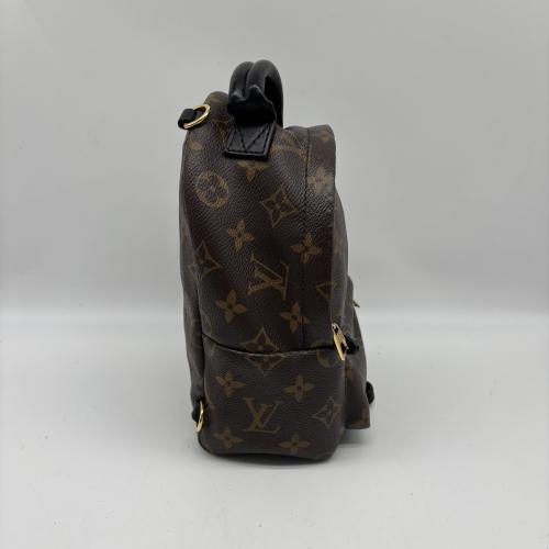 Louis Vuitton Monogram Mini Palm Springs Backpack photo 7