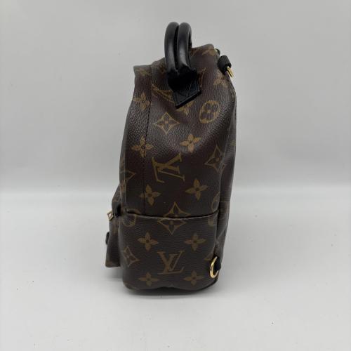 Louis Vuitton Monogram Mini Palm Springs Backpack photo 8
