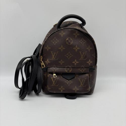 Louis Vuitton Monogram Mini Palm Springs Backpack