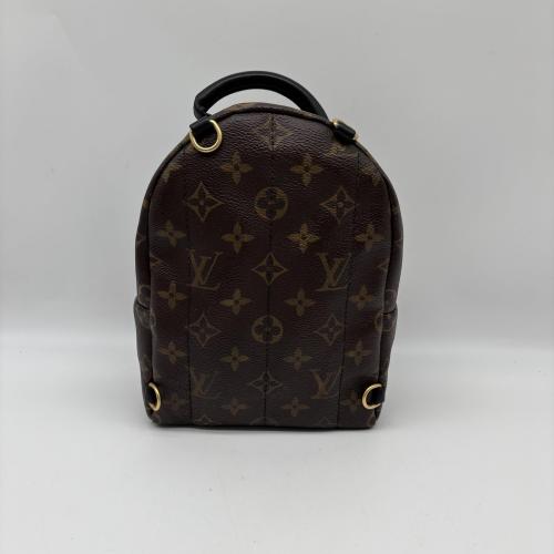Louis Vuitton Monogram Mini Palm Springs Backpack photo 2