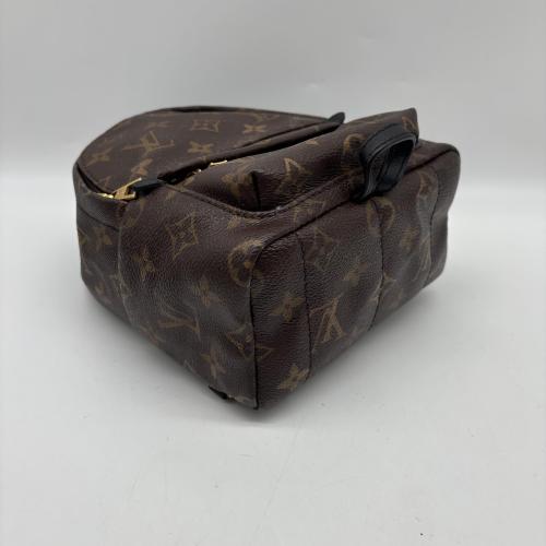 Louis Vuitton Monogram Mini Palm Springs Backpack photo 3