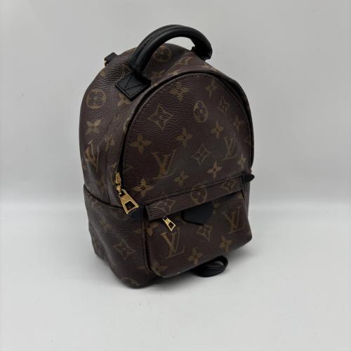 Louis Vuitton Monogram Mini Palm Springs Backpack photo 5