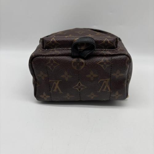 Louis Vuitton Monogram Mini Palm Springs Backpack photo 6