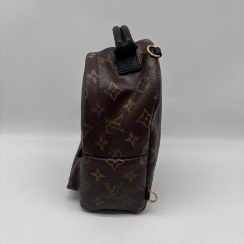 Louis Vuitton Monogram Mini Palm Springs Backpack photo 7