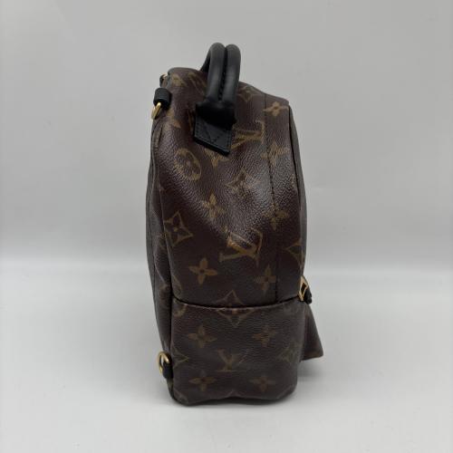 Louis Vuitton Monogram Mini Palm Springs Backpack photo 8