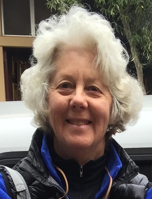 This online memorial is dedicated to Carol Diane Lawton. It is a place