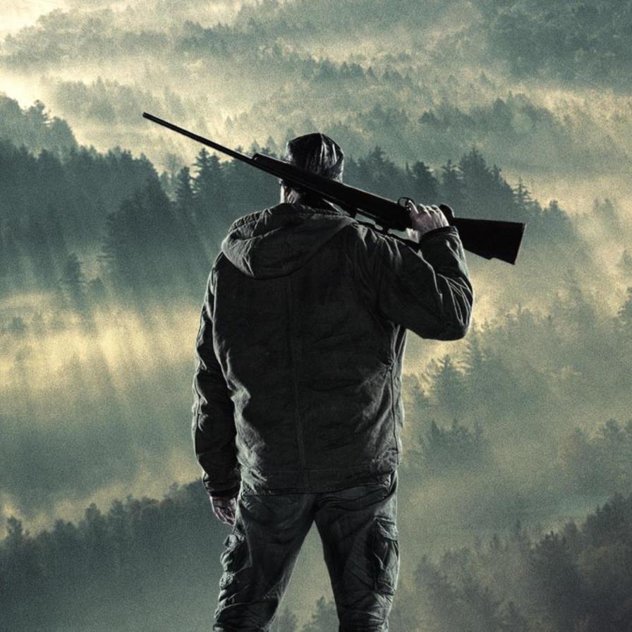 Francis \, image size:896x896