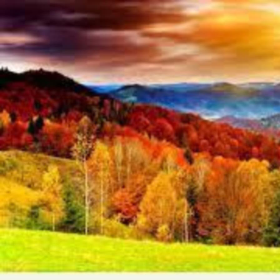 Thomas \, image size:896x896